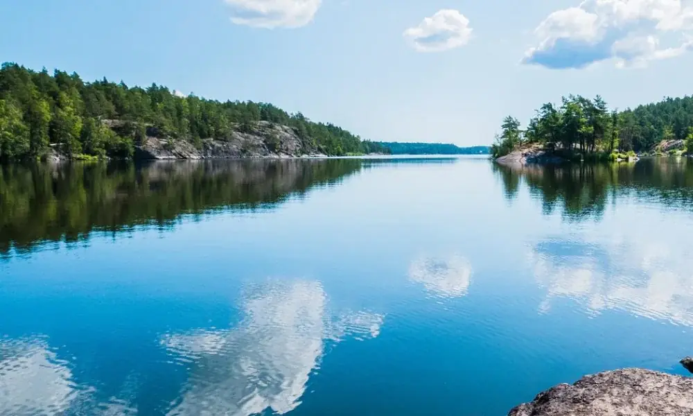 Naturmiljö – Hallstahammars Sotningsväsende värnar om naturen